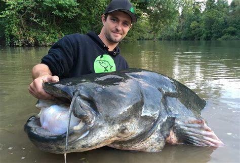 zeck fishing teamangler.